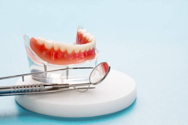 Best General Dentistry  in Elkins Rk, PA